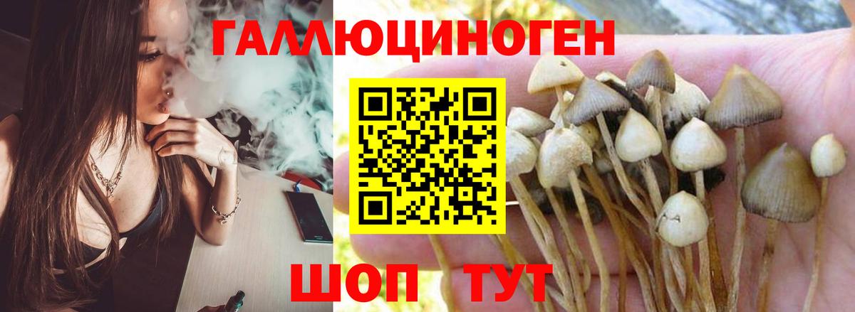 Меф   Азнакаево  Каннабис  Где продают наркотики?  COCAIN  ГАШИШ  ГАШИШ  Вход с VPN 